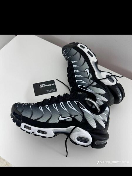 Nike TN sneakers