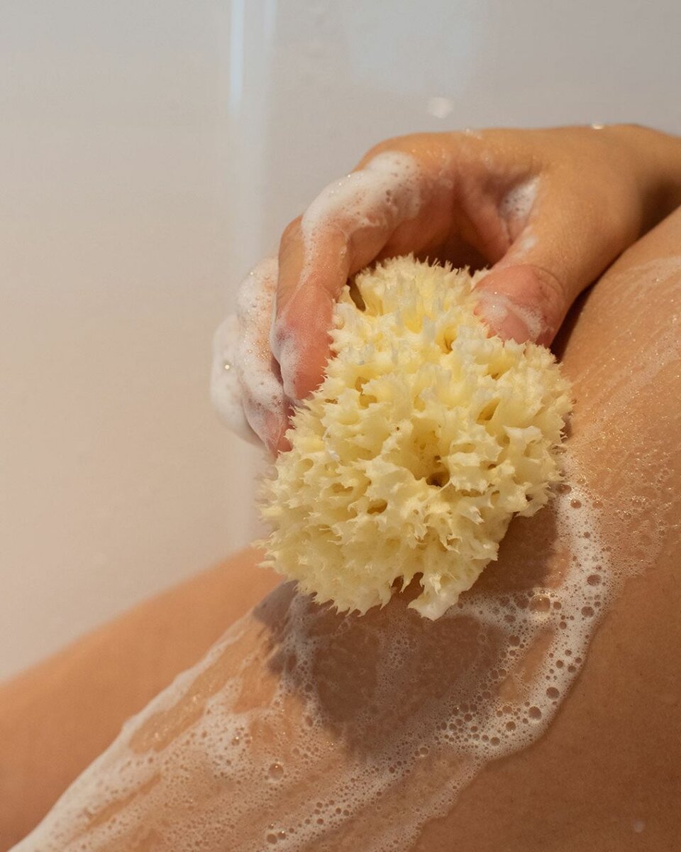 Éponge de Mer Naturelle 10cm