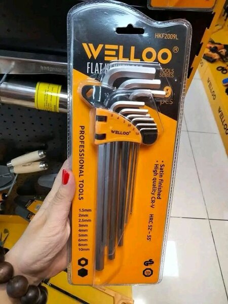 Clé Allen en acier trempé Welloo