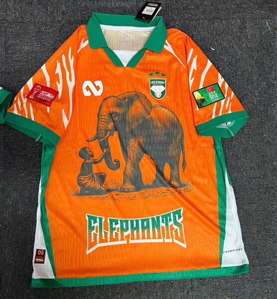 Maillot de football éléphants