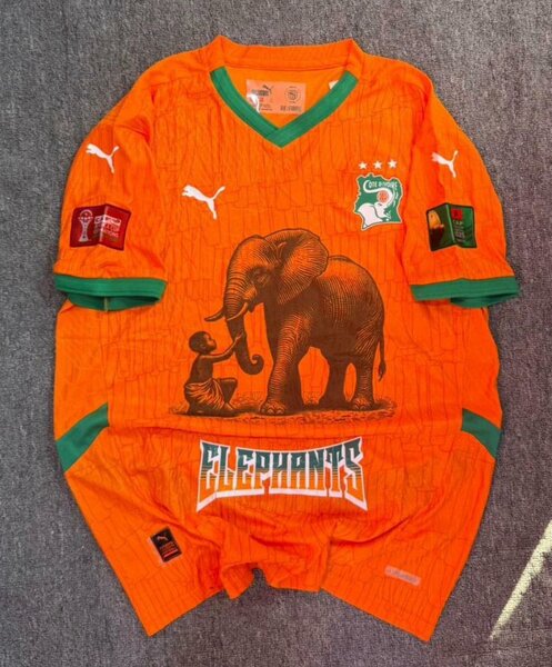 Maillot de football Puma Éléphants