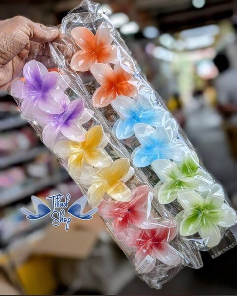 Set de savon fleurs colorées