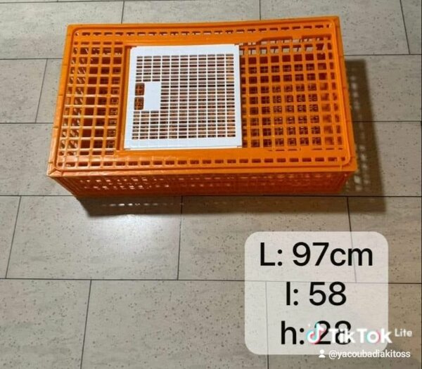 Caisse en plastique orange