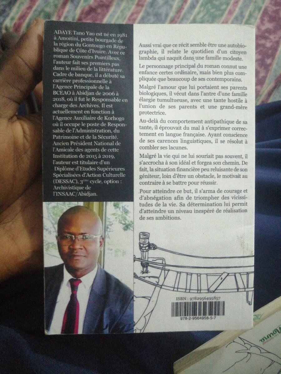 Souvenirs Pointilleux - Roman