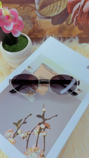 Lunettes de soleil élégantes