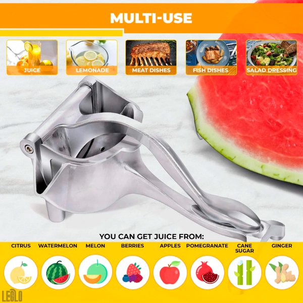 Presse-agrumes portable inox