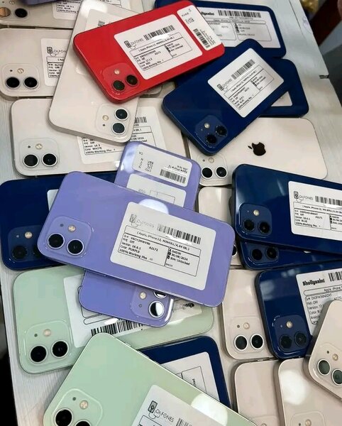 iPhone 13 Coloré Débloqué