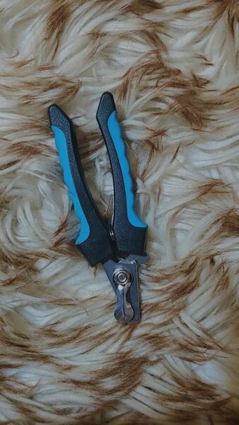 Ciseaux pour griffes