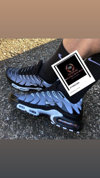 Chaussures Air Max Homme