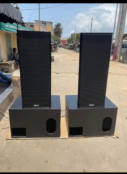 Enceinte professionnelle NEXO