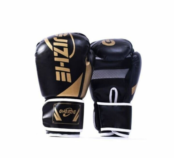Gants de boxe professionnels