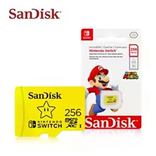Carte microSD SanDisk 256Go