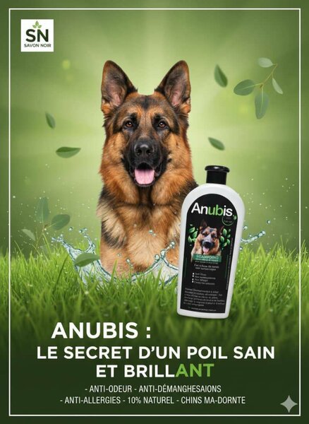 Shampooing Chien Anubis Naturel